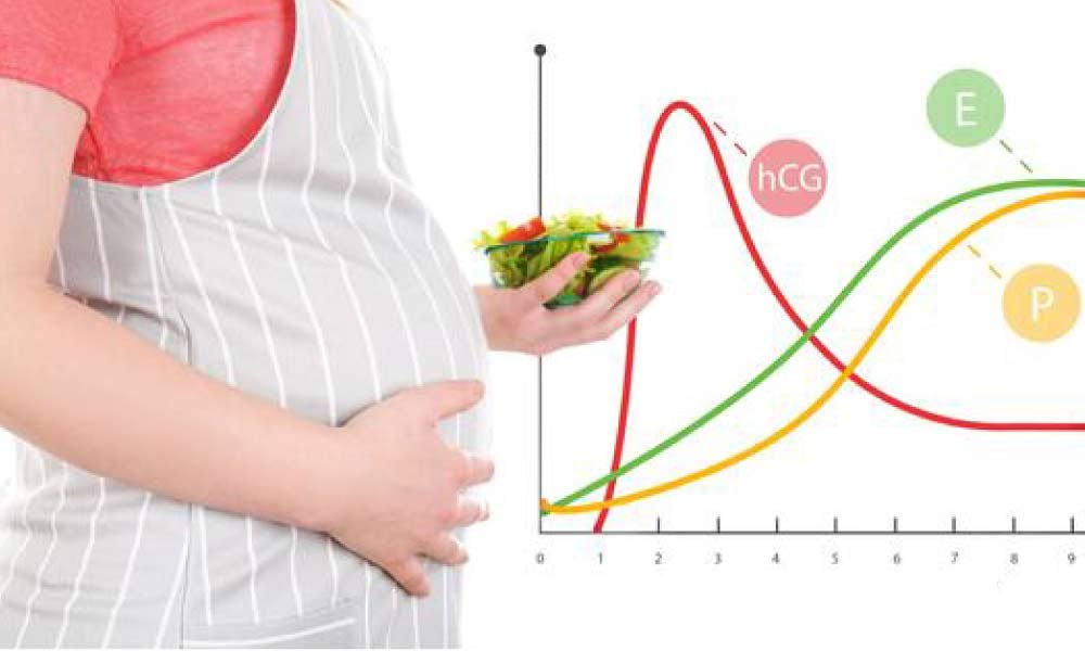Hormones During Pregnancy Pregnancy Hormones – Digital Download